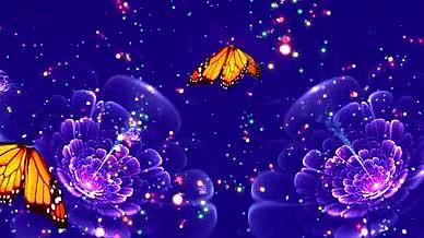 紫色梦幻舞蹈霓裳羽衣曲蝴蝶飞舞水晶花视频的预览图